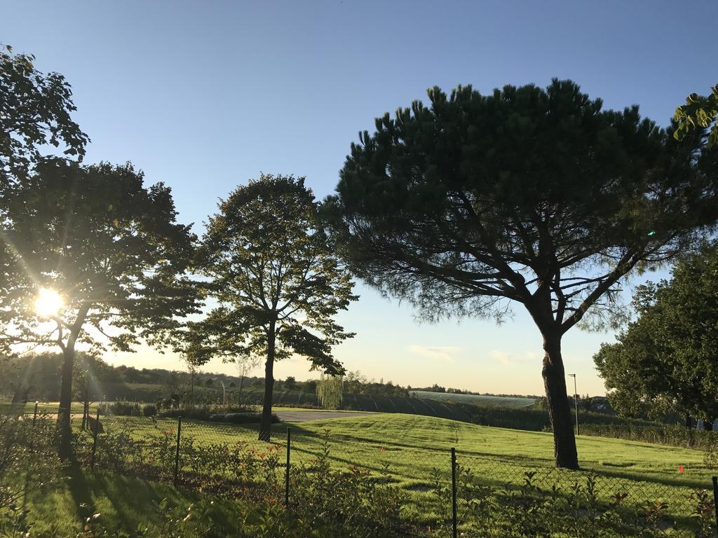Agriturismo La Rinaldina Faenza Exterior foto