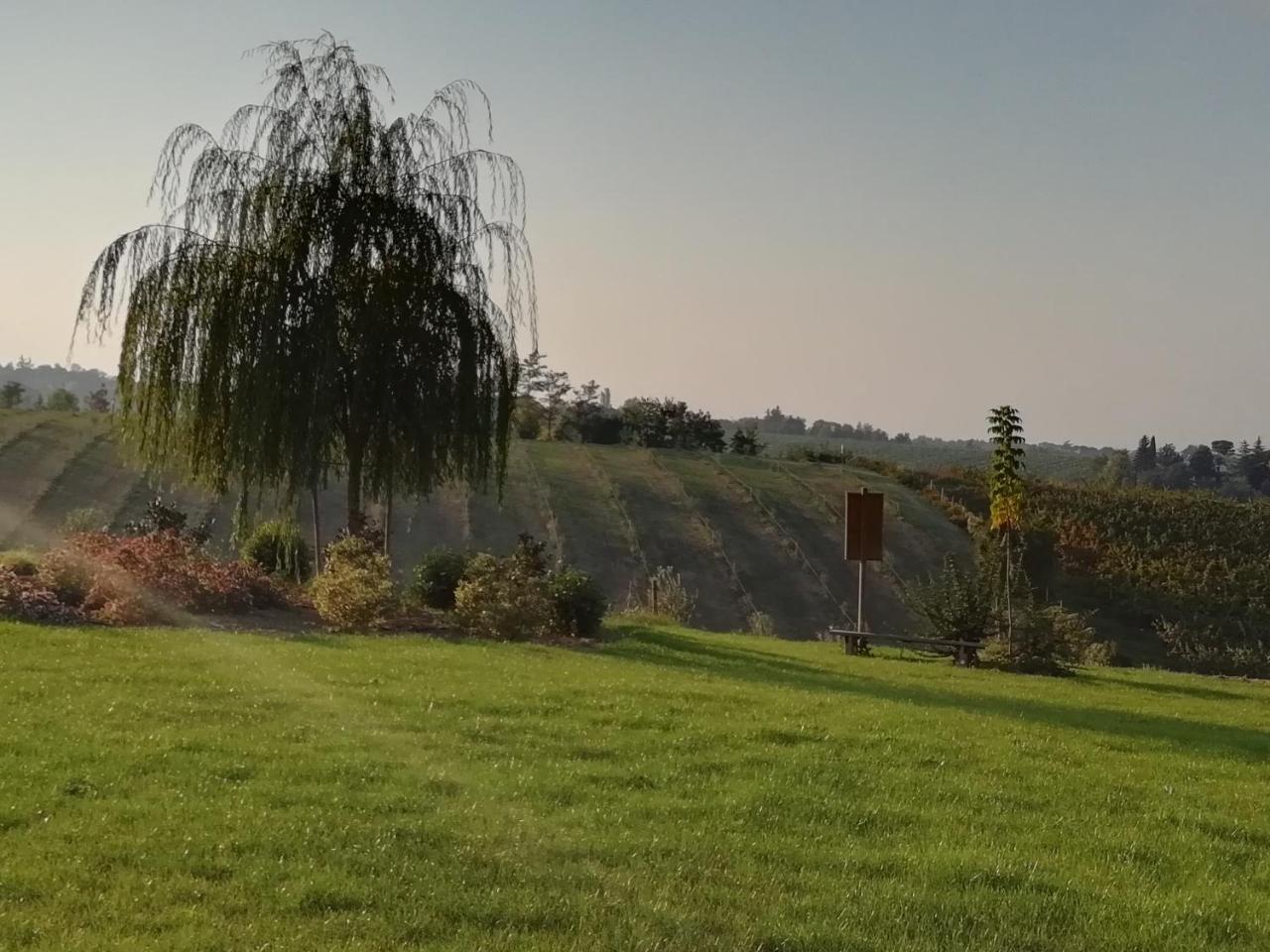 Agriturismo La Rinaldina Faenza Exterior foto
